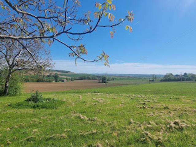 Terrain 1753 m2
