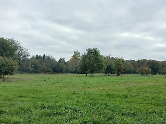 Terrain 1756 m2 menesplet