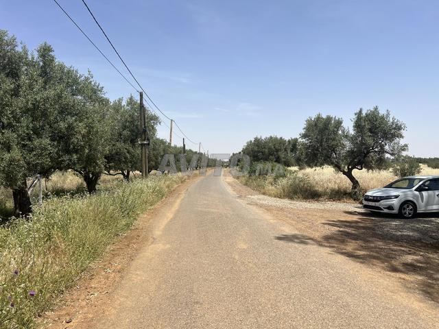 Terrain 1774m2