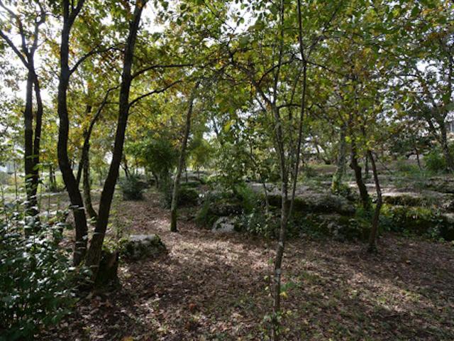 Terrain 1794 m2