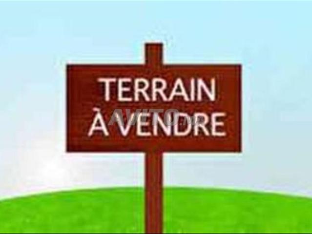 Terrain immeuble 662 m2 R plus 5 a rouidat
