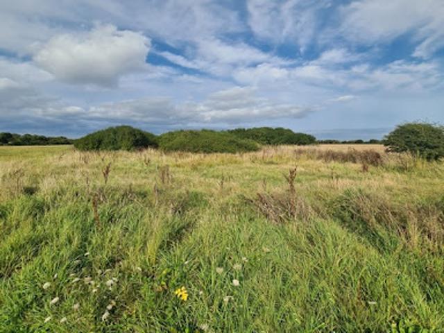Terrain 1807 m2
