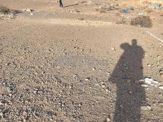Terrain 180 m² Adlia Taourirt route Msaki Rachidia