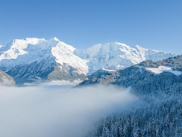 Terrain