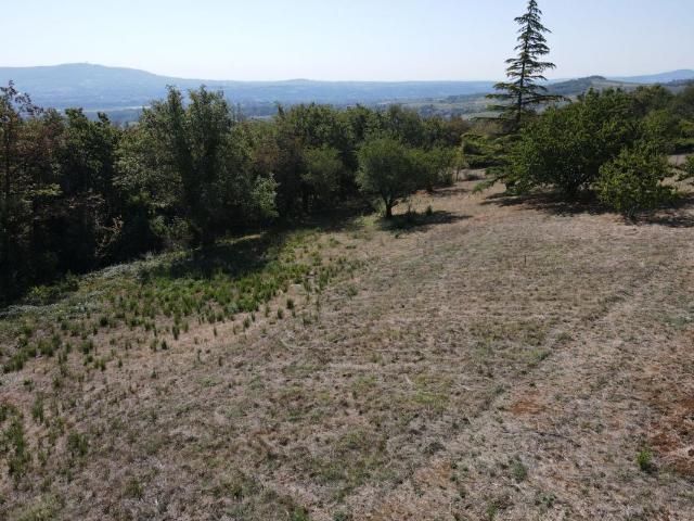 Terrain