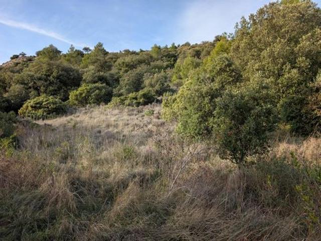 Terrain