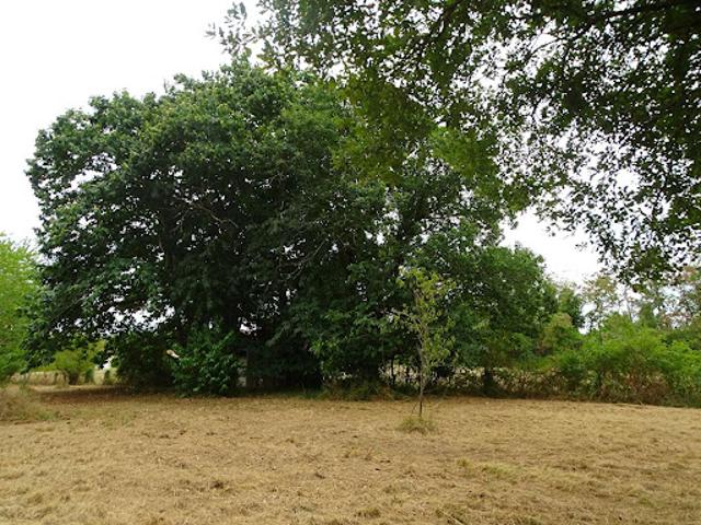 Terrain 1865 m2