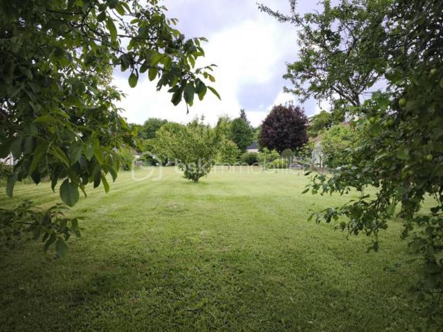 TERRAIN
