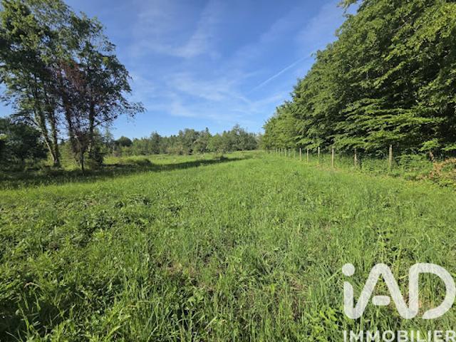 Terrain 1900 m2