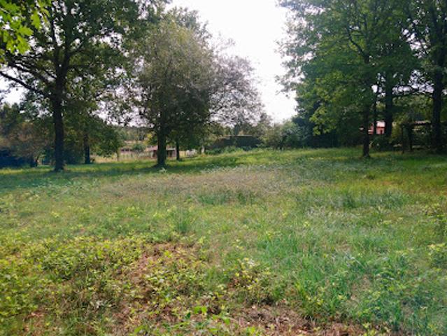 Terrain 1954 m2