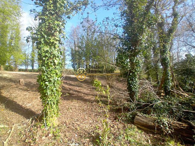 Terrain 1975 m2