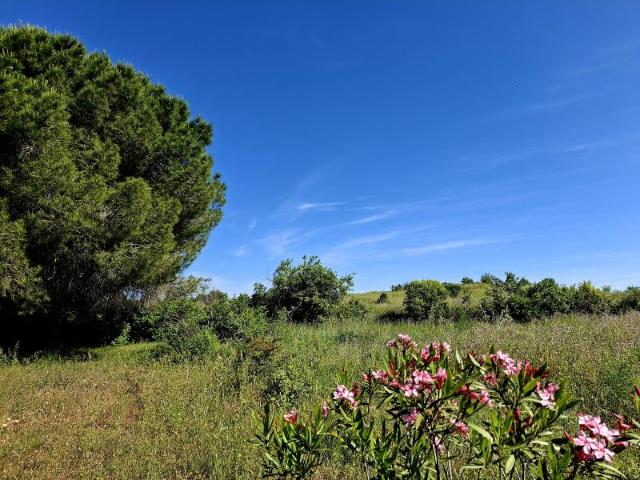 Terrain