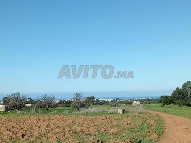 Terrain 10000m2 à beni yekhlef