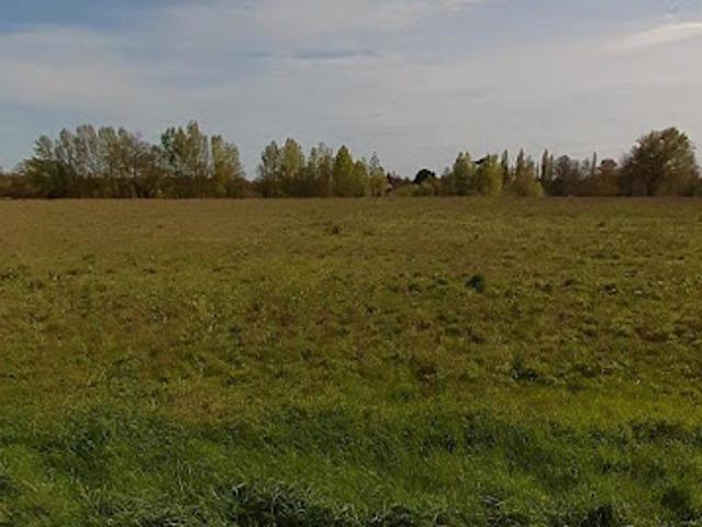 Terrain 1000 m2