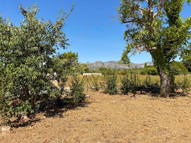 Terrain 1000 m2