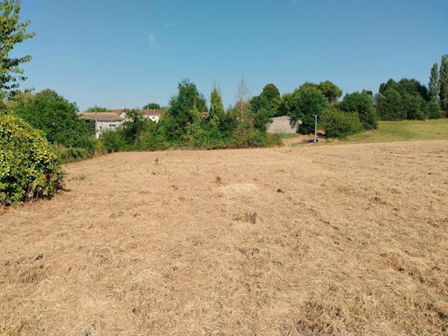 Terrain 1000 m2