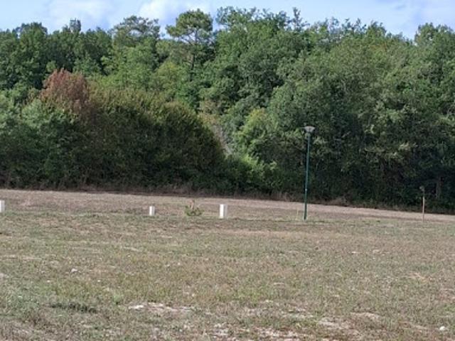 Terrain 1000 m2