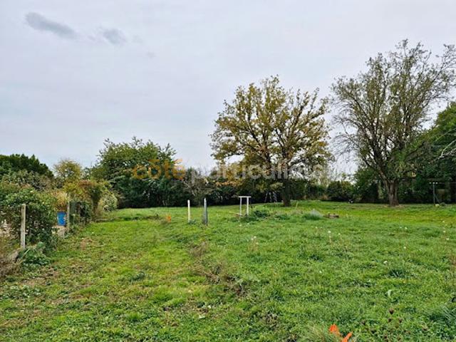 Terrain 1000 m2