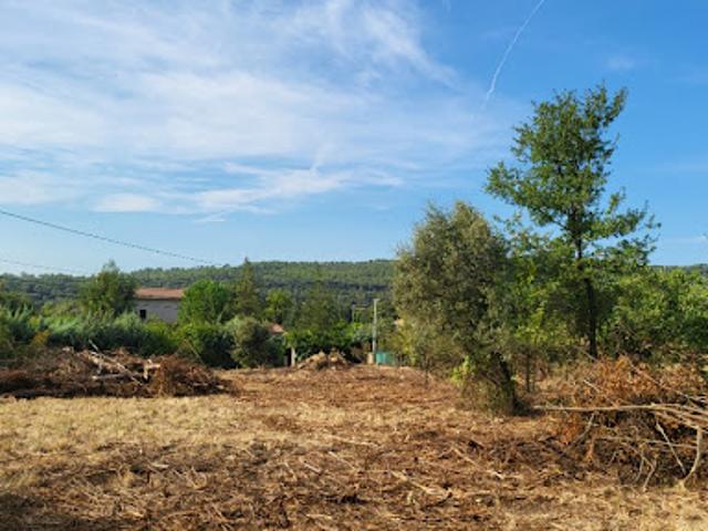 Terrain 1000 m2