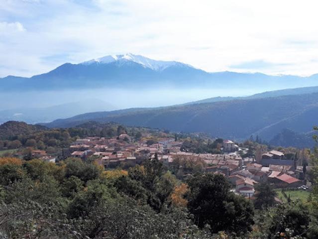 Terrain 1000 m2