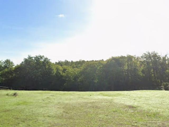Terrain 1000 m2