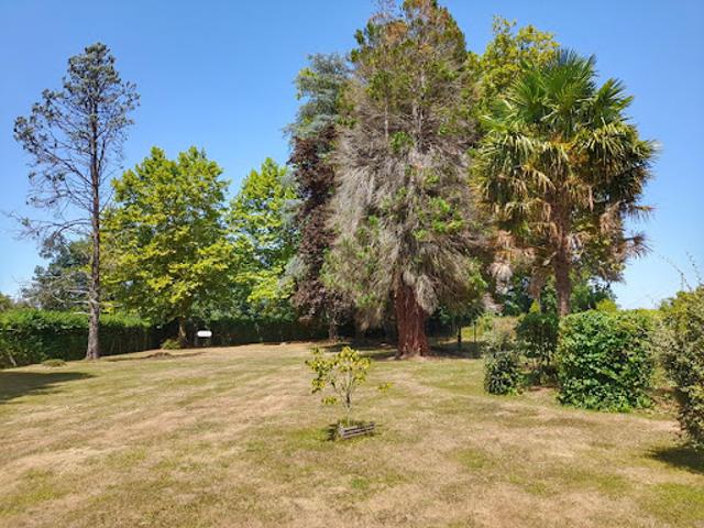 Terrain 1000 m2