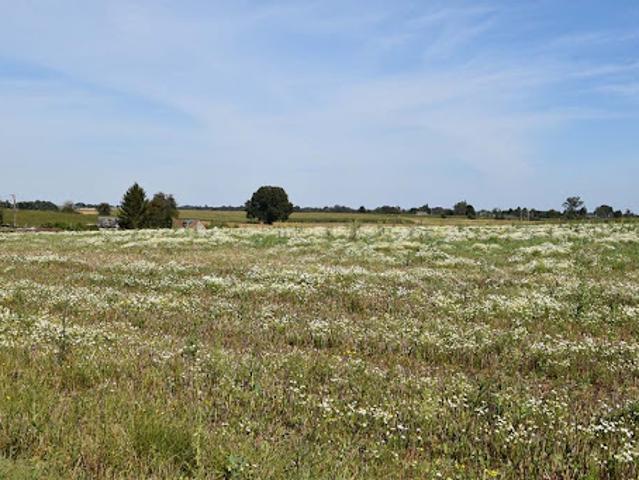 Terrain 1000 m2