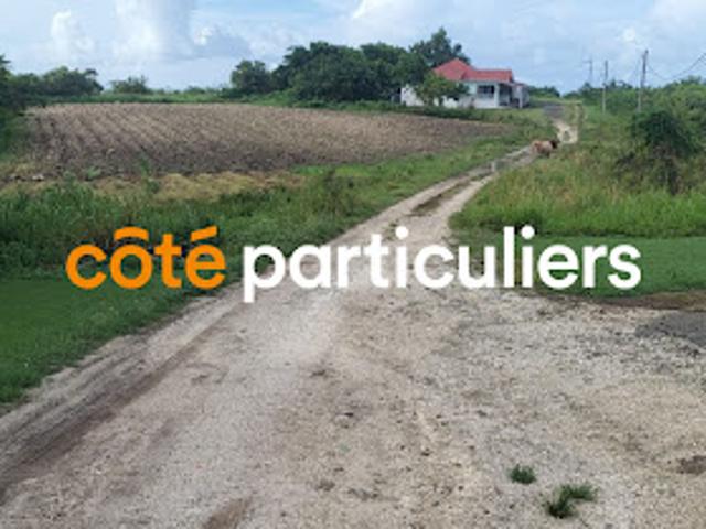 Terrain 1000 m2