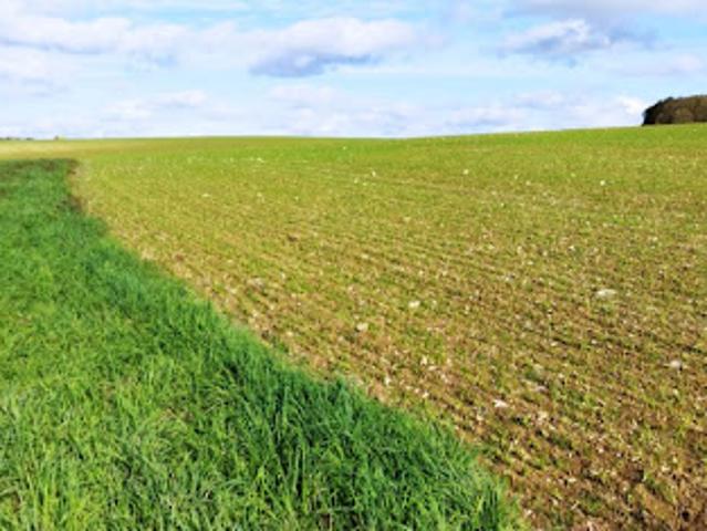 Terrain 1000 m2