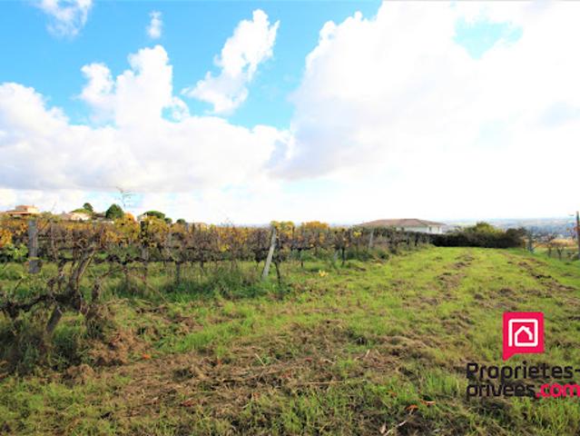 Terrain 1000 m2
