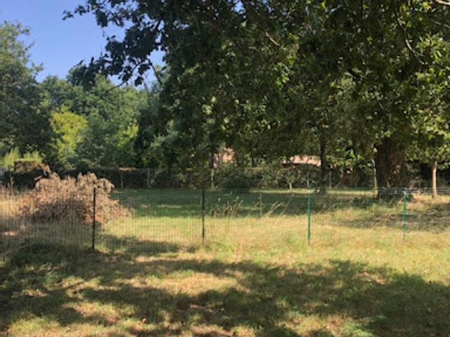 Terrain 1000 m2
