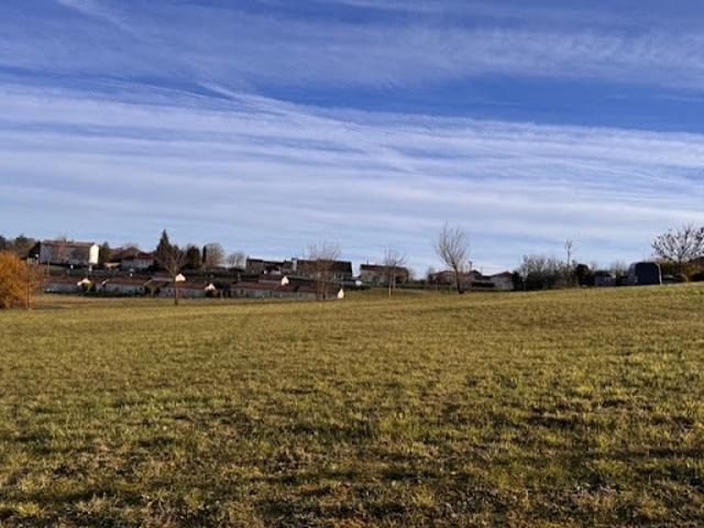 Terrain 1000 m2