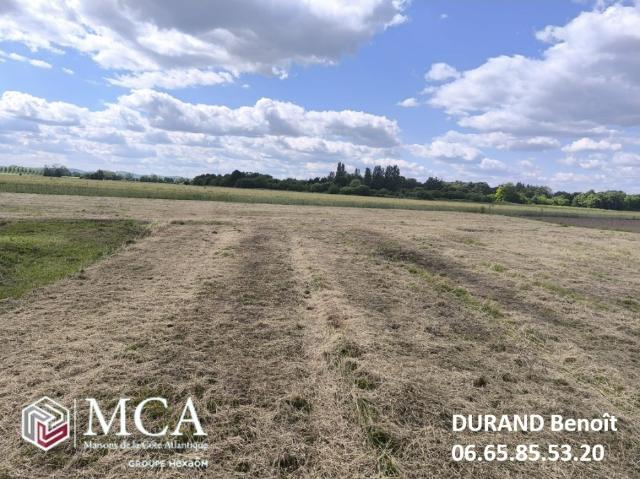 Terrain 1000 m2 bosset