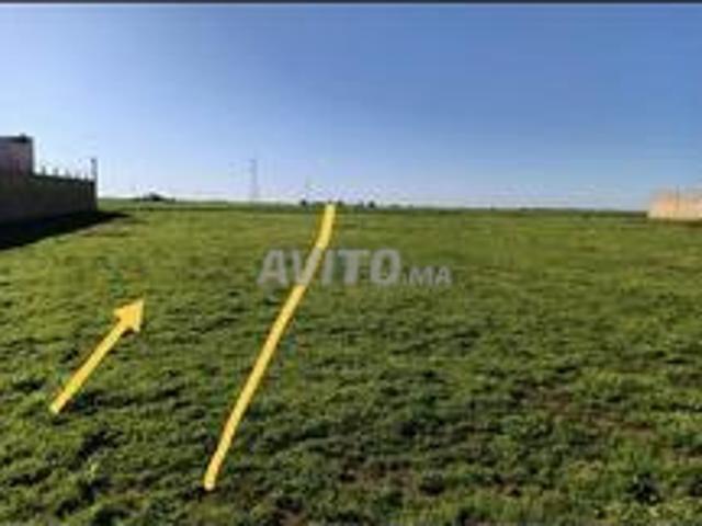Terrain 1000 m² Titré