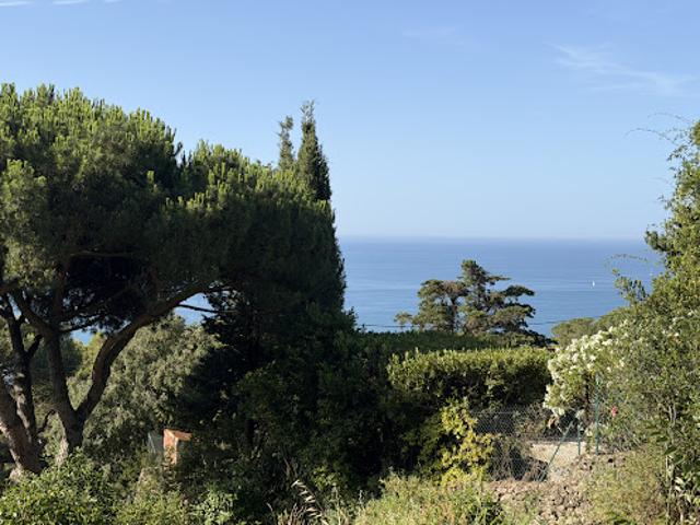 Terrain