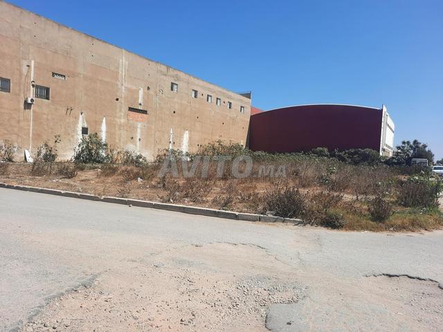 Terrain 1020 m2 titre industriel sbihi salé