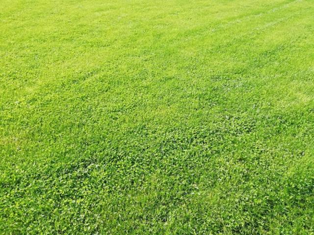 Terrain 1030 m2