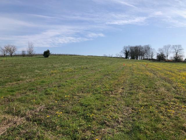 Terrain 1074 m2 st savin