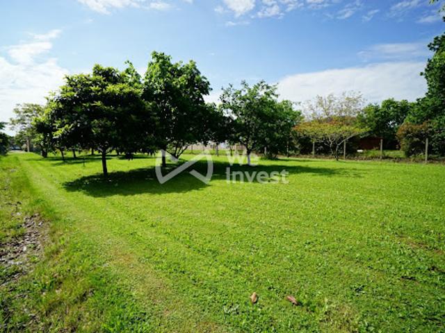 Terrain 1086 m2
