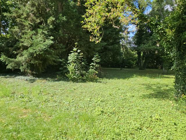 Terrain 10 ares Sarreguemines, quartier résidentiel