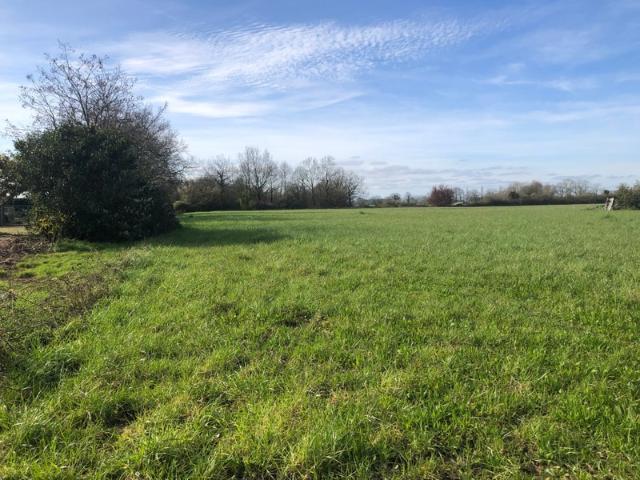 Terrain 10 045,00 m², dont 2564 m² constructibles sur SAINT PHILBERT DE GRAND LIEU 44