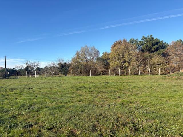 Terrain 1100 m2