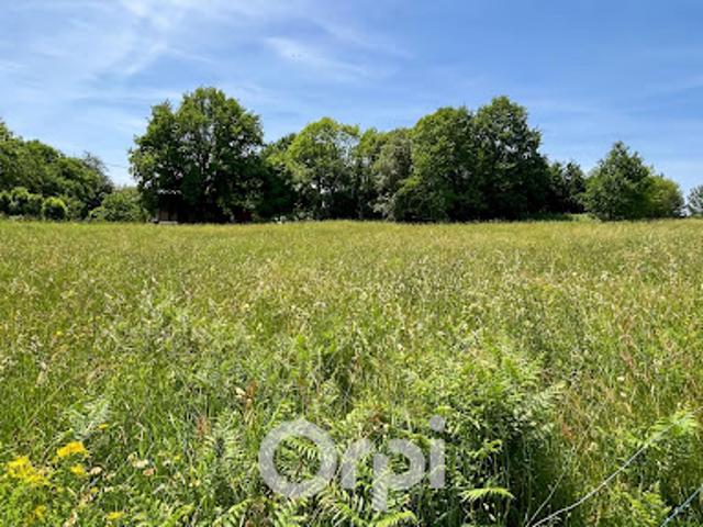 Terrain 1100 m2