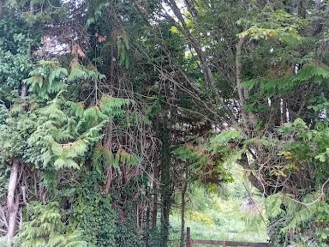 Terrain 1100 m2