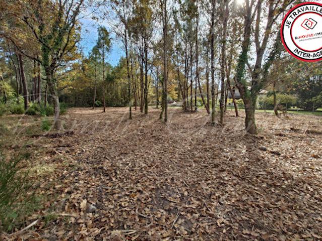 Terrain 1100 m2