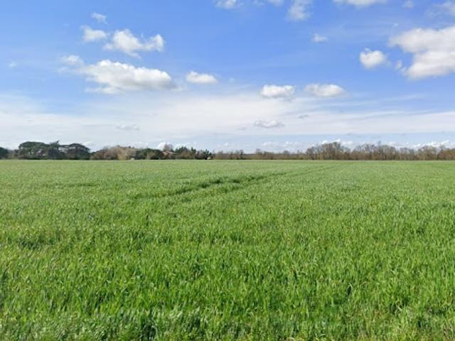 Terrain 1100 m2