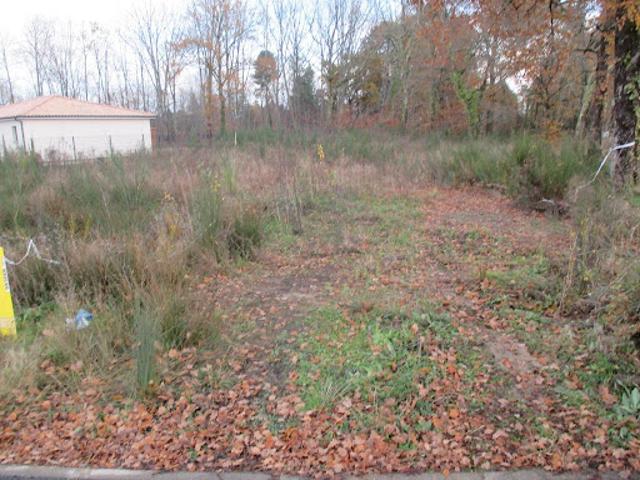Terrain 1100 m2