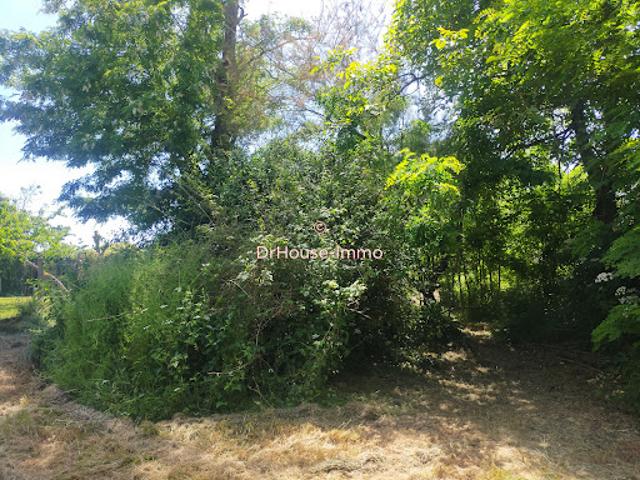 Terrain 1102 m2