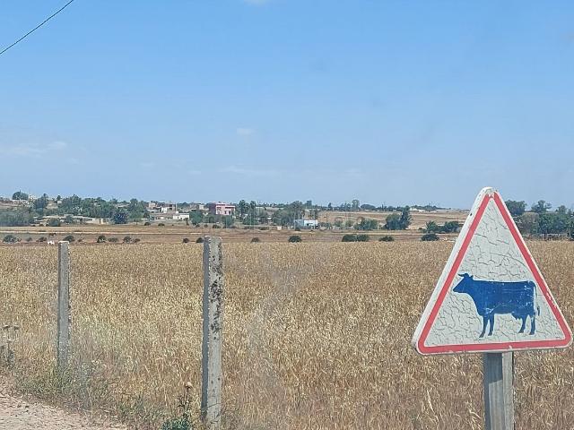 Terrain 11255 m² Bouskoura/Labissa