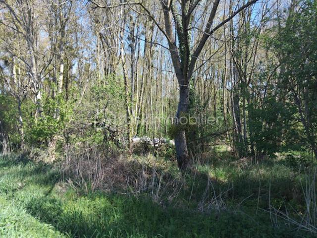 Terrain 1125 m2